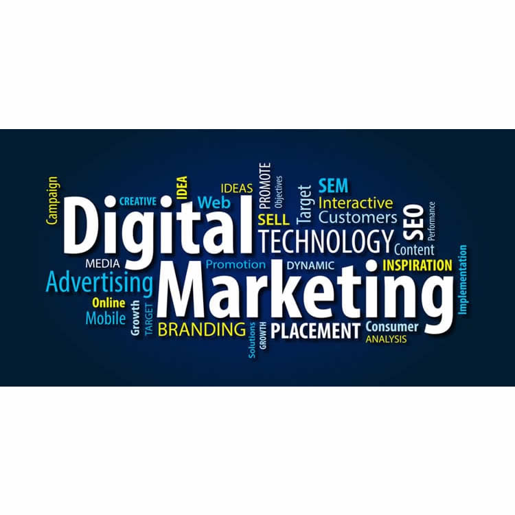 Digital Marketing & SEO